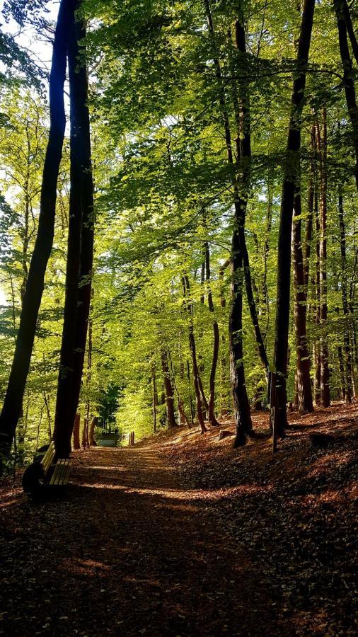 Gaestehaus Schu Marpingen Εξωτερικό φωτογραφία